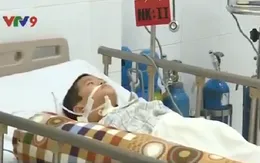 Cảnh báo bệnh viêm não Nhật Bản vào mùa