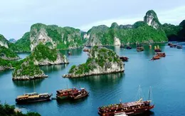 Trước khi bị tạm dừng tăng phí, mức giá đề xuất tham quan Vịnh Hạ Long "vống" lên thế nào?