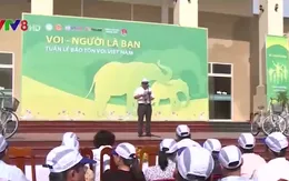 Khai mạc Tuần lễ bảo tồn voi Việt Nam