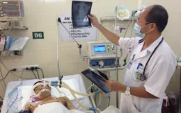 Bệnh Whitmore liệu có nguy cơ bùng phát thành dịch?
