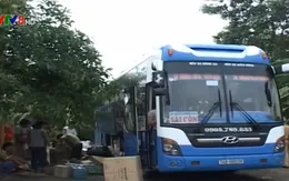 Bắt giữ xe chở hơn 6 tạ cá không rõ nguồn gốc từ Quảng Trị