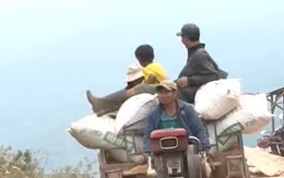 Xe chở nông sản vi phạm giao thông "rầm rộ" ở Lâm Đồng