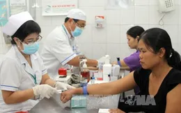 TP.HCM sẽ xét nghiệm virus Zika theo tiêu chí của Bộ Y tế