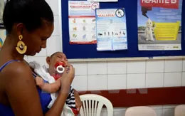 Ngân hàng Thế giới sẽ hỗ trợ 150 triệu USD chống virus Zika