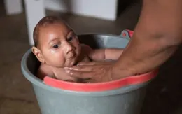 Thái Lan cho phép phá thai nếu bị nhiễm virus Zika