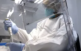 Đức phát triển thành công phương pháp xét nghiệm nhanh virus Zika