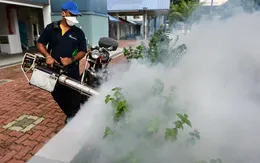 2,6 tỉ người đứng trước nguy cơ nhiễm virus Zika