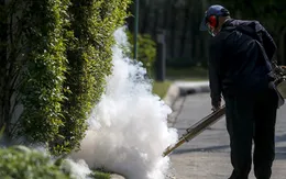 Thái Lan phát hiện 21 ca nhiễm Zika tại trung tâm thủ đô Bangkok