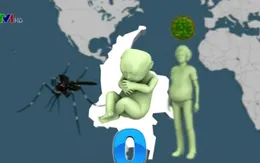Ca đầu tiên mắc chứng đầu nhỏ nghi do virus Zika tại Việt Nam