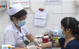 TP.HCM: Khẩn trương ban hành quy trình tiếp nhận và điều trị virus Zika