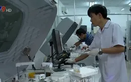 TP.HCM xác nhận 9 thai phụ nhiễm virus Zika