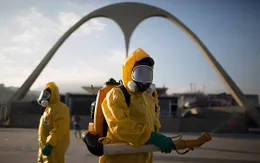Bộ Y tế New Zealand thông báo có 9 người nhiễm virus Zika