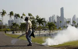 Malaysia xác nhận thai phụ đầu tiên nhiễm virus Zika