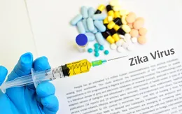 Nâng cao năng lực quản lý môi trường sống để phòng chống bệnh Zika