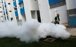 Nguy cơ dịch Zika lan rộng sang các nước châu Á