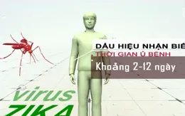 Dấu hiệu nhận biết nhiễm virus Zika