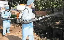 Đà Nẵng triển khai các biện pháp phòng chống sốt xuất huyết