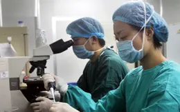 Trung Quốc: Bán trứng cho cơ sở đẻ thuê, 1 nữ sinh suýt mất mạng