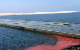 Dải nước đỏ xuất hiện tại Hà Tĩnh là hiện tượng tự nhiên bình thường