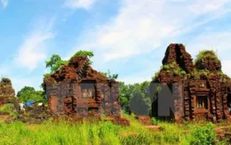 Phát hiện một đường cổ trong lòng đất ở Thánh địa Mỹ Sơn