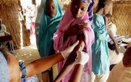 WHO cảnh báo về dịch viêm màng não ở Nigeria