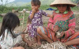 Lâm Đồng: Đầu tư ổn định đời sống cho dân di cư tại Tiểu khu 179