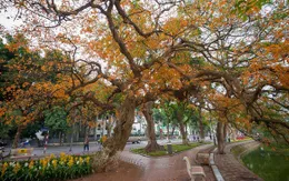 Ngỡ ngàng vẻ đẹp của Hà Nội trong tiết giao mùa tháng 4