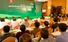 Vingroup ký thỏa thuận hợp tác với 500 hộ sản xuất