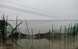 Hàng loạt hồ nuôi tôm tại phá Tam Giang (TT-Huế) bị bỏ hoang