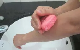 Tư vấn phòng tránh và cấp cứu khi bị côn trùng tấn công