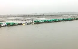 TT-Huế: Nhiều đê bao hư hỏng nặng, hơn 1.300ha lúa ngập úng