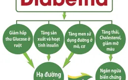 Sự thật về chỉ số GI của thực phẩm: Người đái tháo đường nên biết