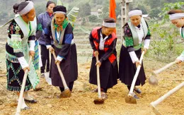 Hỗ trợ định canh, định cư bình quân 15 triệu đồng/hộ