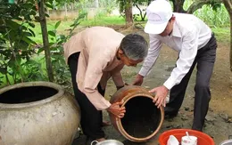 Biện pháp phòng tránh bệnh sốt xuất huyết vào mùa