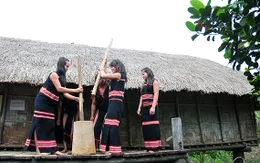 Độc đáo Lễ mừng lúa mới của người Xê Đăng