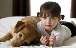 9 lợi ích sức khỏe không ngờ khi nuôi chó