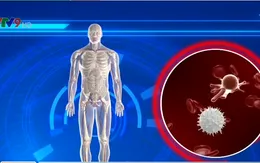 Sử dụng ánh sáng giúp hệ miễn dịch chống lại ung thư