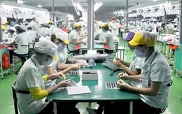 Hàng trăm nghìn doanh nghiệp trốn đóng bảo hiểm xã hội