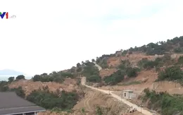 Thanh tra toàn diện các dự án trên bán đảo Sơn Trà