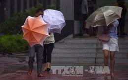 Bão Pakhar đổ bộ Trung Quốc, 3 người bị thương