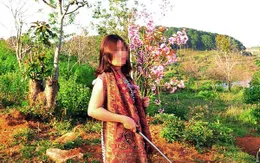 Vụ bẻ hoa ở Đà Lạt: Yêu cầu Phó Giám đốc Sở Tư pháp xin lỗi công khai