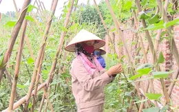 Tăng gia sản xuất, mang nguồn thực phẩm sạch cho người bệnh