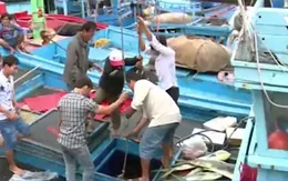 Ngày mở biển với mong ước đầu năm