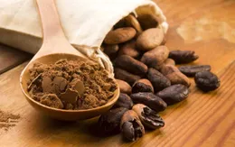 Cacao có thể ngăn ngừa tiểu đường tuýp 2