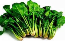 Cải bó xôi - Siêu thực phẩm chống ung thư buồng trứng
