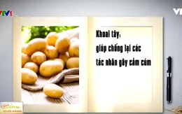 Những thực phẩm phòng chống cảm cúm
