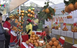 Khai mạc Hội chợ cam Vinh