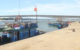 Hôm nay, Hội nghị toàn quốc về cảng cá theo khuyến nghị của EC