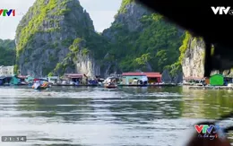 VTVTrip: Vịnh Lan Hạ - Bức phù điêu thiên tạo đẹp tuyệt vời