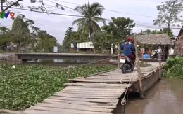 Hậu Giang: Có cầu qua sông dân vẫn phải trả tiền đò